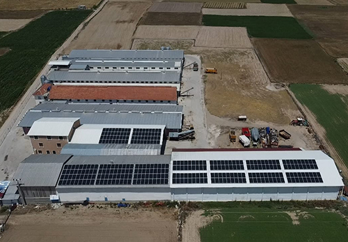 Keklik Kardeler at GES Bamak Afyonkarahisar